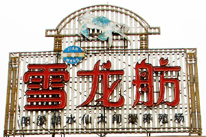 雪龙舫