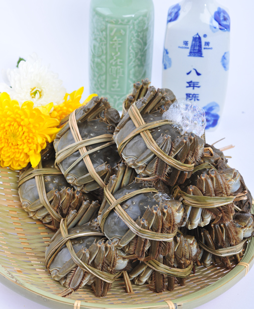 即刻加盟，惊喜连连