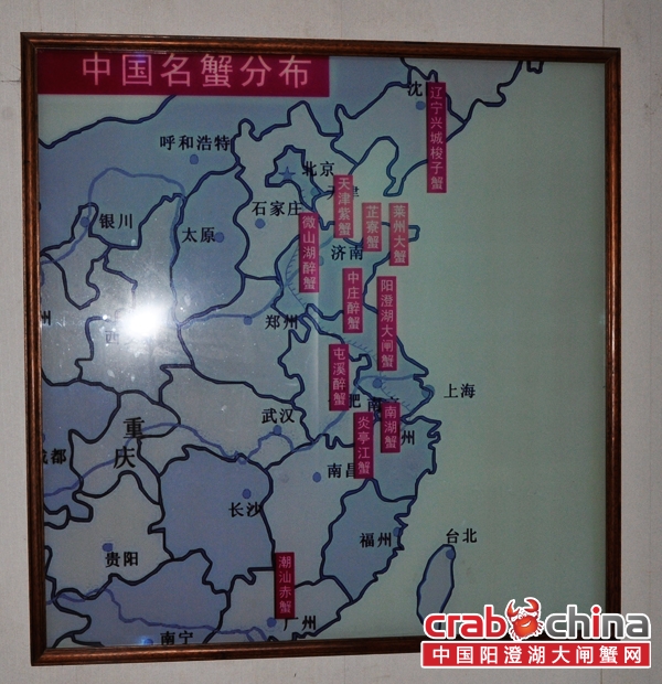 中国名蟹分布图