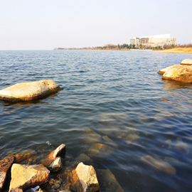 享美食，观湖景，阳澄湖岸边的品蟹酒家