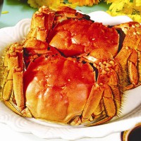 中国11种名贵的蟹