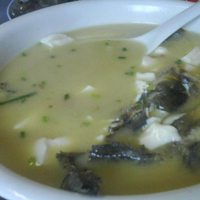 昂刺鱼豆腐汤