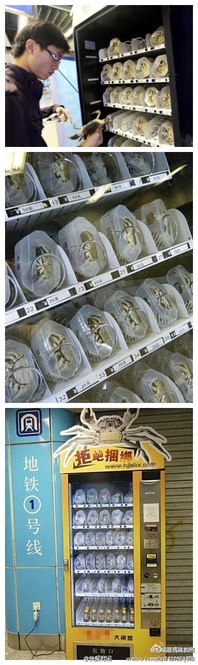 南京新街口地铁站内，竟然设了活螃蟹的自动售货机