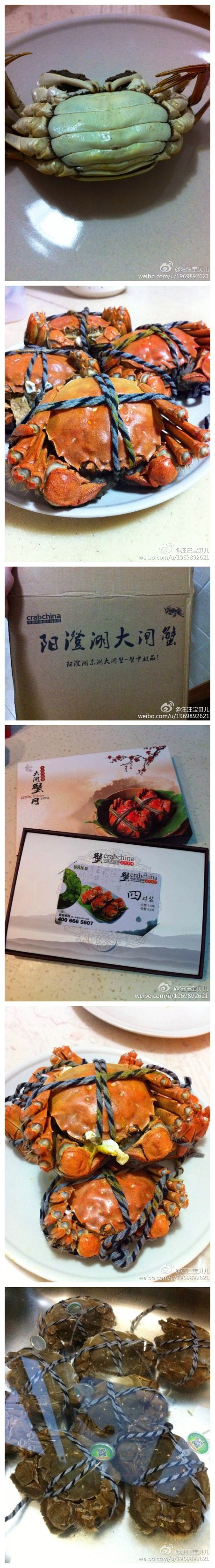 今天的蟹是从@阳澄湖大闸蟹网 订购的888型礼品卡