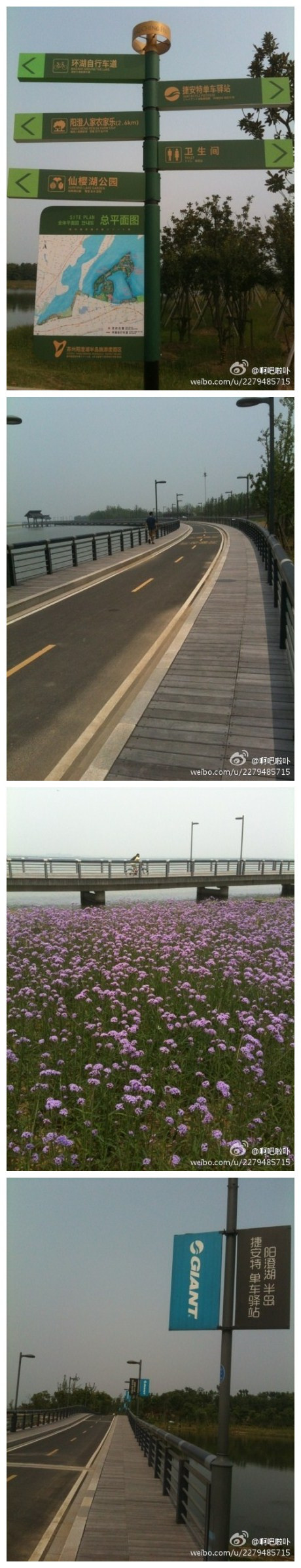 环阳澄湖自行车道长约18公里左右@