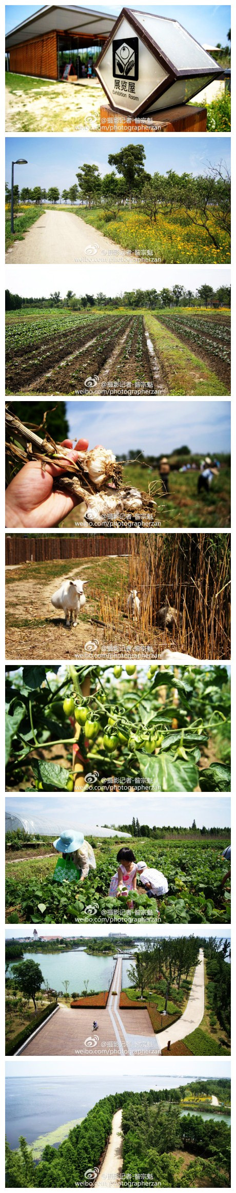 【悦丰岛有机农场】紧邻阳澄湖畔,位于阳澄湖费尔蒙酒店北侧是一个致力于推广有机种植理念、倡导绿色健康生活的新型农场。