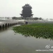 阳澄湖美景《老红军水产行》