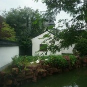 昆曲寻根之旅。遇见与昆曲同岁的顾阿瑛亲植的银杏树和并蒂莲