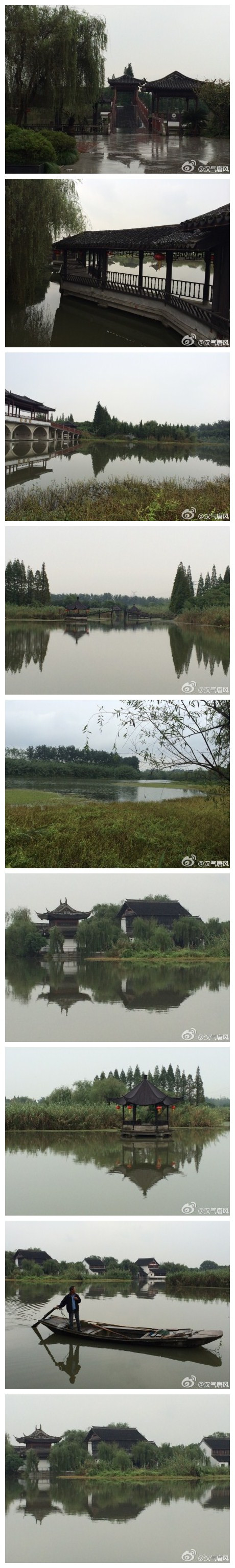 金秋夜雨浥清晨，阳澄湖畔芦色新