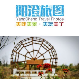 【阳澄旅图】“洗肺之旅”：巴城生态湿地公园