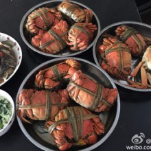 和二牛两个人在家吃菜饭，和一大锅大闸蟹，现在的大闸蟹油最多