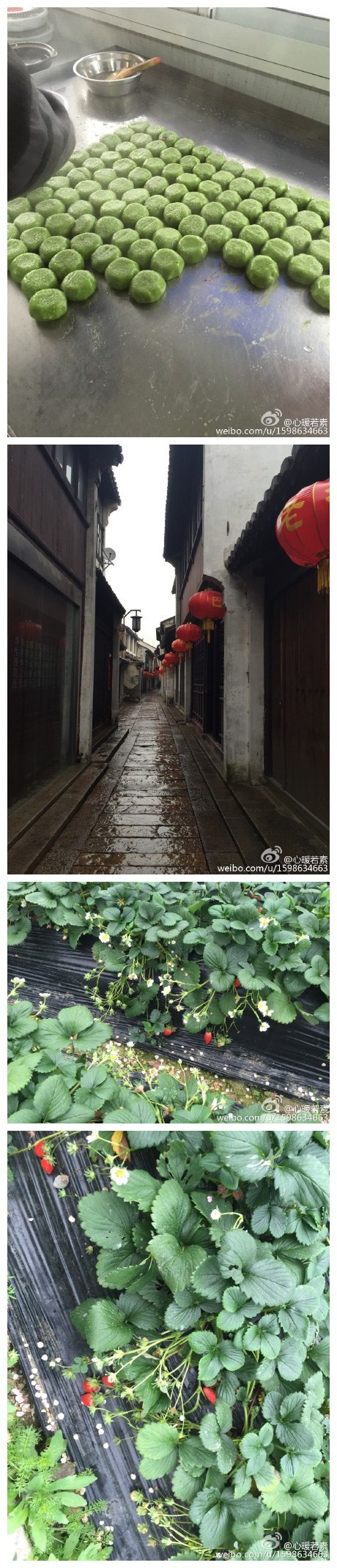 巴城