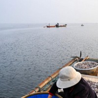 【阳澄食谱】揭秘：阳澄湖大闸蟹的早餐