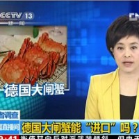 央视关注德国大闸蟹