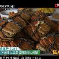 跟着央视4套《远方的家》栏目去品蟹