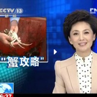 阳澄湖大闸蟹的挑选品尝技巧