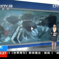 激素催熟阳澄湖大闸蟹？
