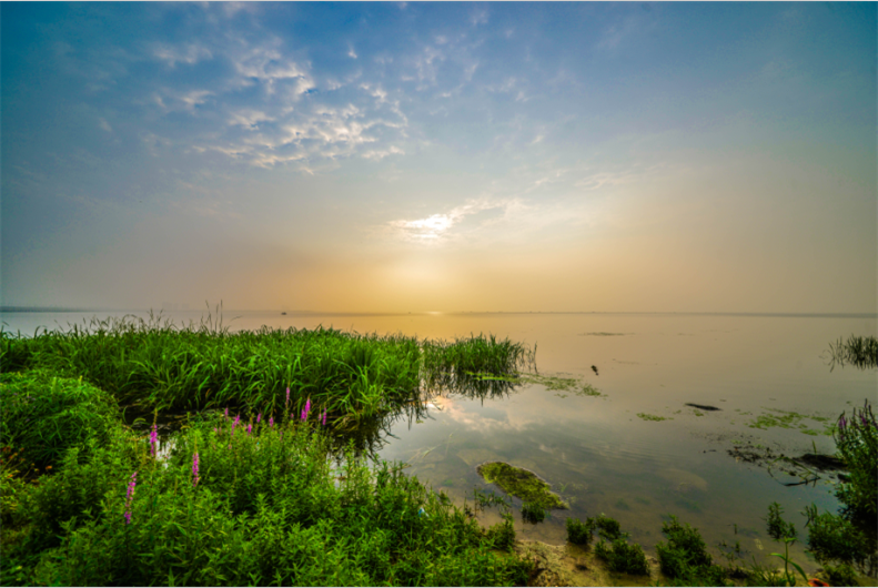 阳澄湖