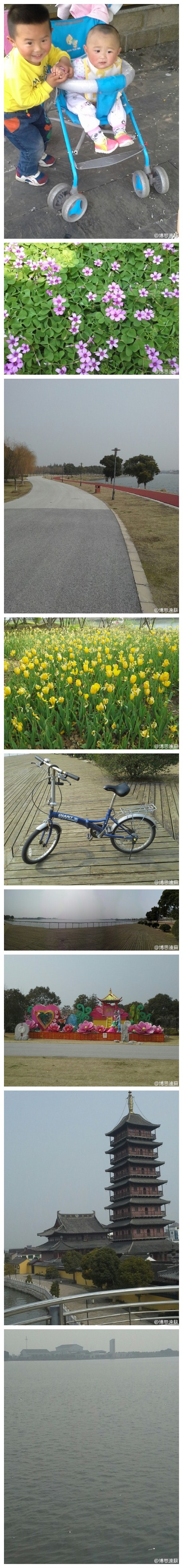 #带着微博去昆山#漫步阳澄湖畔，水波荡漾，花团锦簇，骑上脚踏车，漫步轻盈，大自然的馈赠，在繁华都市里寻找一丝难得的宁静与悠闲！孩子的陪伴，天真的无邪的笑容与自然融入一体，像蝴蝶一样翩翩起舞！@玩转昆山