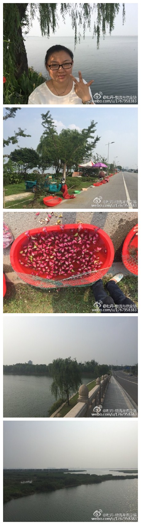 阳澄湖的螃蟹9月20号开捕，今天虽然不是来吃螃蟹的，还是忍不住扫荡了红菱和螃蟹[爱你]吃货就是抵不住诱惑啊[泪]