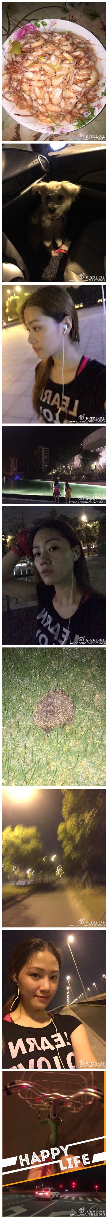 花了四五个小时终于跑到阳澄湖大桥，辛苦豆豆了