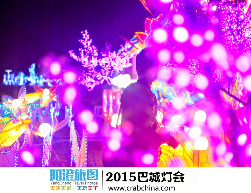 2015巴城灯会 阳澄湖大闸蟹 巴解园