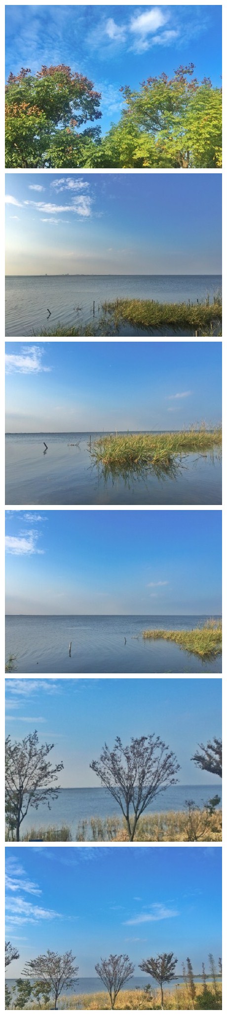 超级棒的天气，不枉绕路看一眼阳澄湖～至于蟹嘛，还是自己煮的好吃[熊猫]
