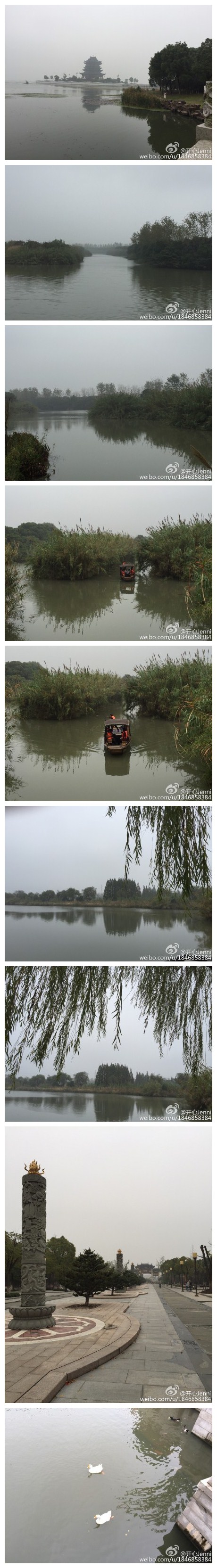 《烟雨中的阳澄湖》 一抹素白流韵，弹奏江南的婉约，一丛芦苇，写入摇曳的诗行，将逝水流年，浅斟轻酌。静穆，独泊渔歌~
