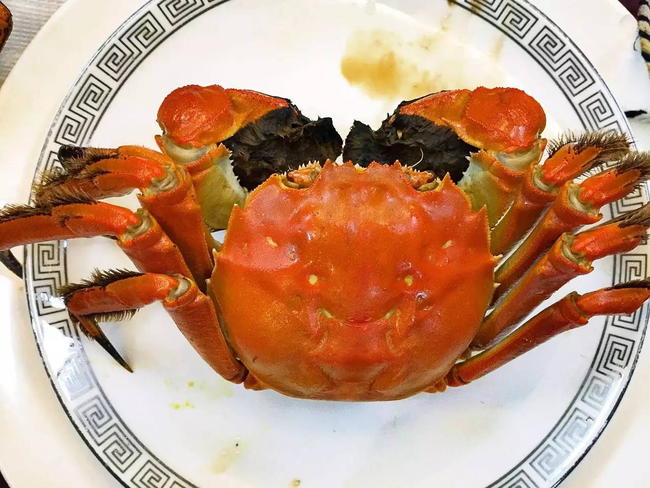 美味的阳澄湖大闸蟹，很鲜美，公蟹很不错哦～