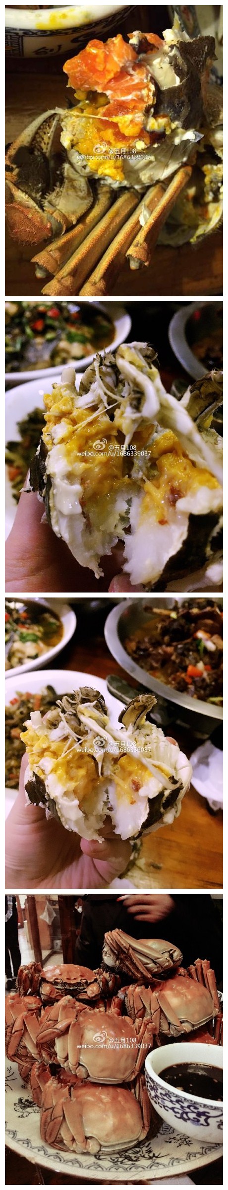 还是赶上了今年的阳澄湖蟹子，好呲