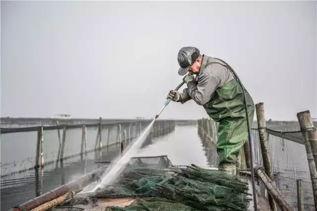 蟹农在清洗地笼 中蟹网 阳澄湖大闸蟹 蟹季结束