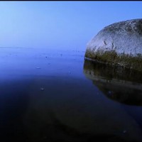 GOPRO拍摄的阳澄湖水下景象