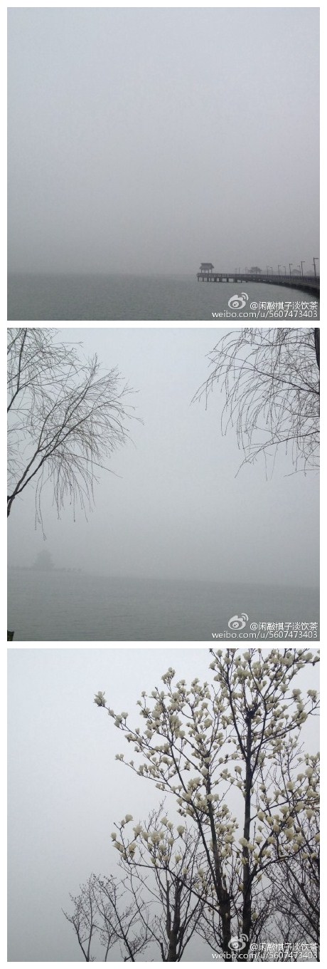 露珠结在草尖上，蒲公英摇晃着硕大的脑袋，柳枝发了新芽，白玉兰开得招展。烟波浩渺，何似人间，这是三月的江南——阳澄湖。湖边环绕着巨大的草坪，有帐篷散落其上。露营踏春的人早已生起了野炊炉，垂钓，摸田螺，采