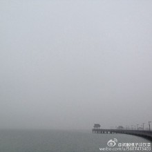 露珠结在草尖上，蒲公英摇晃着硕大的脑袋，柳枝发了新芽，白玉兰开得招展。烟波浩渺，何似人间，这是三月的江南——阳澄湖。湖边环绕着巨大的草坪，有帐篷散落其上。露营踏春的人早已生起了野炊炉，垂钓，摸田螺，采