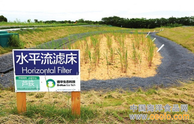 苏州相城区 阳澄湖 水质