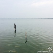 春天的阳澄湖风景如画！夹岸翠柳，烟波浩渺，暖风吹佛～ 感恩！20km，小家伙第一次环湖骑行完美完成！文小哥棒棒哒！