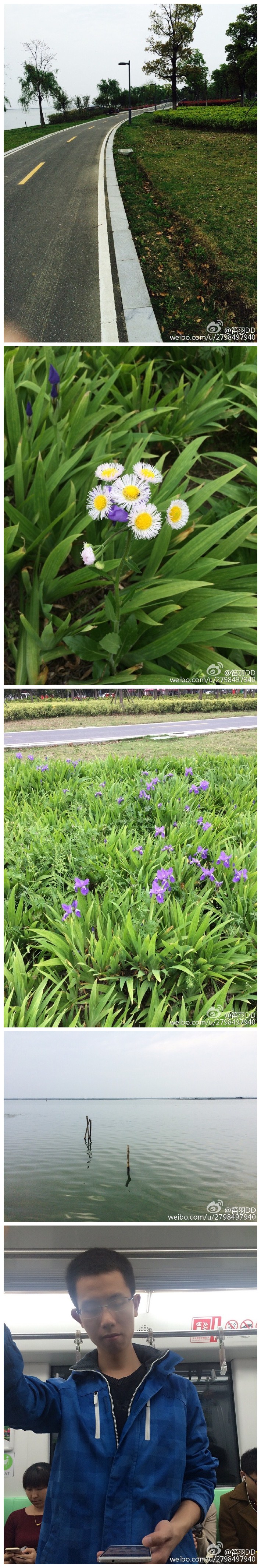 晃去大黄[doge]实习的阳澄湖半岛，环境是真tm好啊，湖里的鲫鱼也超美味～