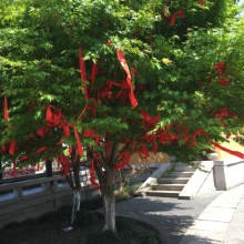 站在高处俯瞰整个阳澄湖！只想去对面烧烤，对面烧烤，烧烤！[偷笑]