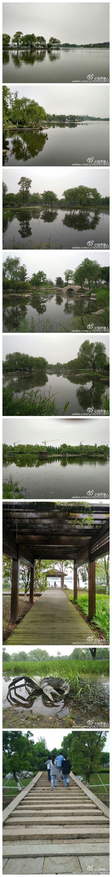 苏州阳澄湖莲池湖