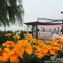 [玫瑰][玫瑰]今天的工作细节，阳澄湖边美爆了！[泪流满面][泪流满面]连续两天早起之后感觉扛不住了啊！[不想上班][不想上班]好想念正常的工作状态！