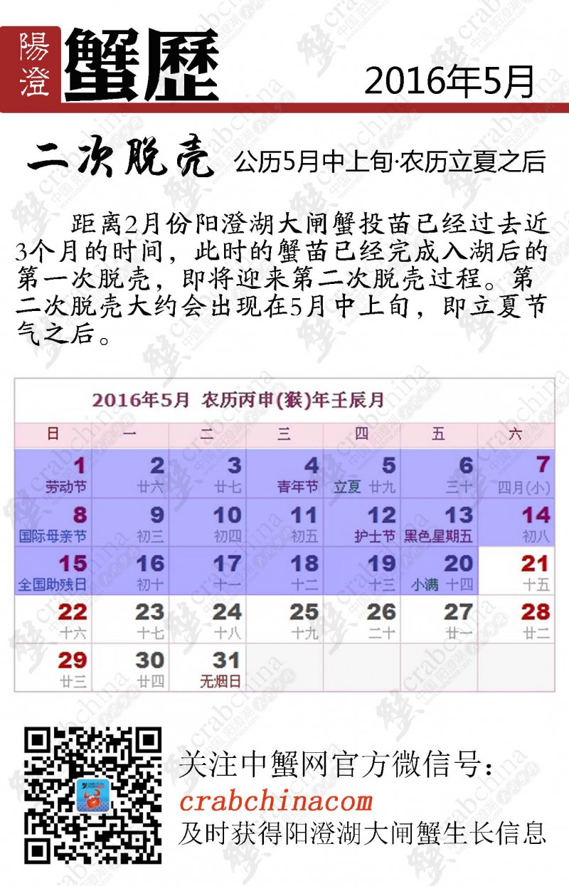 2016年05月阳澄蟹历 阳澄湖大闸蟹 阳澄湖旅游