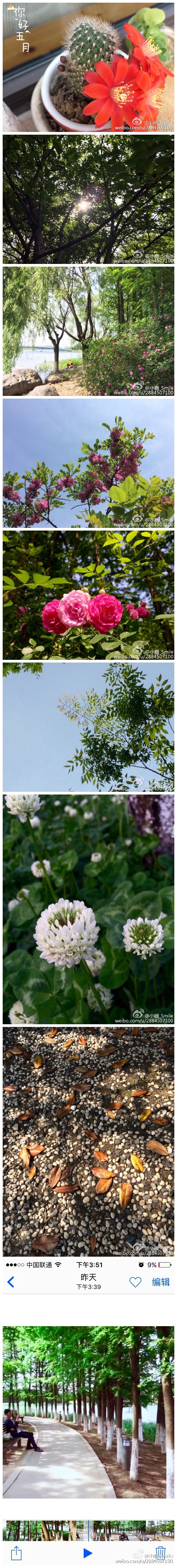 #你好五月#五一这天，天气难得放晴，午后想去下阳澄湖，又说先去沙湖公园看下蔷薇花，不想看了后又在一个非常好的位置坐了好久，后来又绕公园边走边停，看了樱桃，李子，梅子，红色的槐花……直到太阳落山，阳澄湖