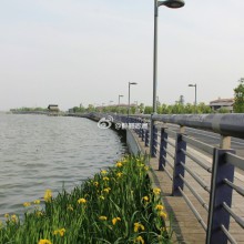 蓝天  白云  帐篷  吊床  音乐  零食  阳澄湖畔  和朋友聊聊天  唠唠嗑
