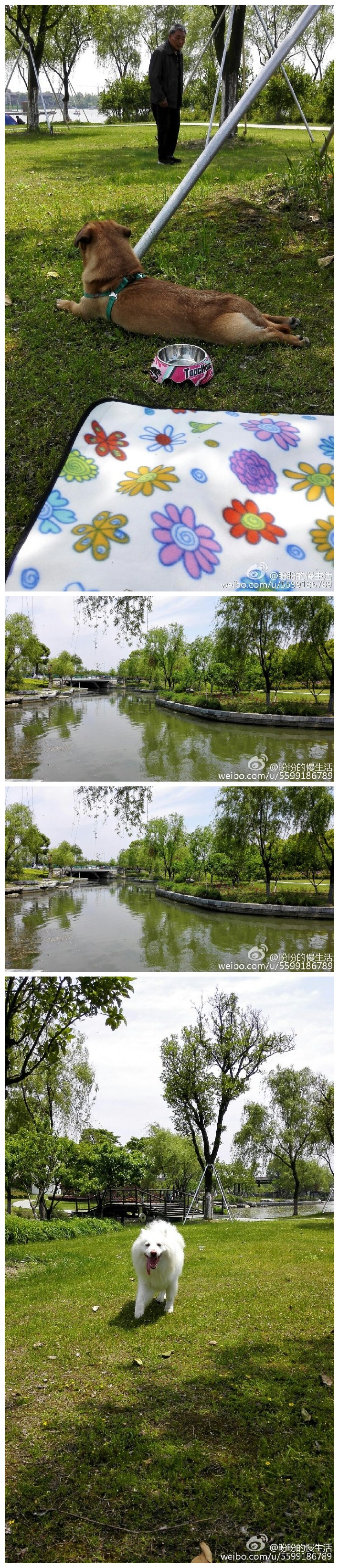 今天是个适合出行的好天气，和友人自驾来到阳澄湖，赏美景，吃美食，心情好到爆。