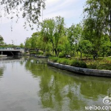 今天是个适合出行的好天气，和友人自驾来到阳澄湖，赏美景，吃美食，心情好到爆。