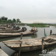 阳澄湖非典型性游，路畅，人稀。环湖步道及自行车道舒适怡人，两个公园游人很少。只是有许多在建工地，为了迎接未来的旺季？
