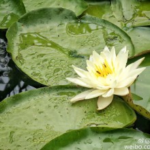 2016.5.22 阳澄湖骑行