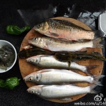 来自阳澄湖的小杂鱼，清洗后倒还养眼，入了锅，烹煮过后，看相就没了，不过味道还是不错的，那几只小虾，应该有增鲜的功效。