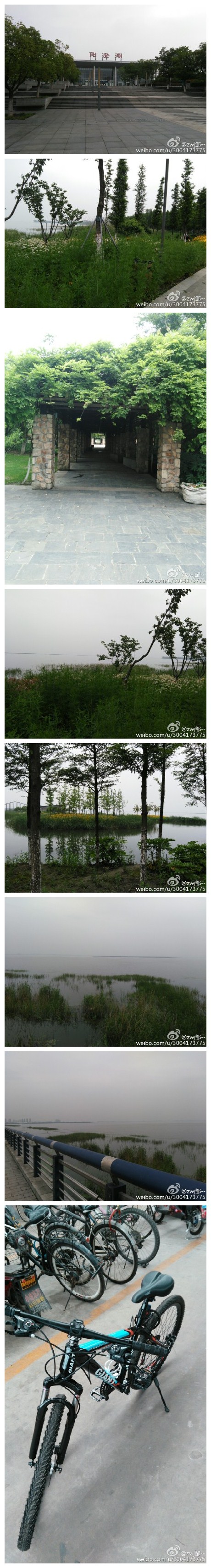 今天脑子灵光一闪，直接骑车跑去阳澄湖了，沿着湖边转了转，对面就是苏州了，骑车去苏州原来也是可以的[可爱]，就是小破车还不够好，等在哪边稳定生活下来，买一辆好一点的车，没事就出去骑着转，骑完回来冲个澡，