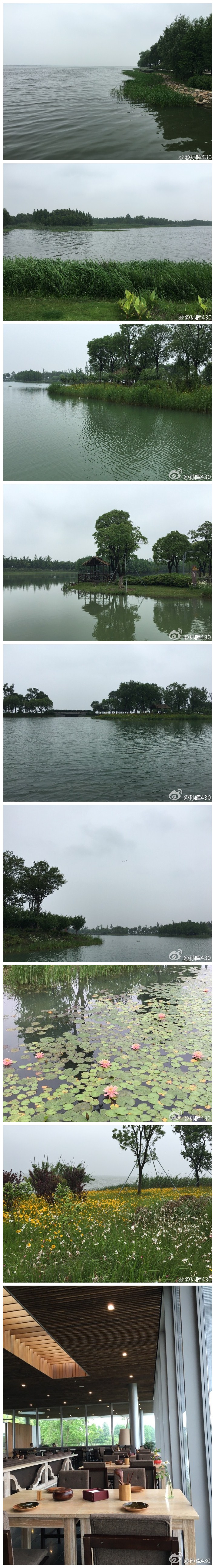阳澄湖畔悦丰岛有机农场，下次还来五谷餐厅。[心]
